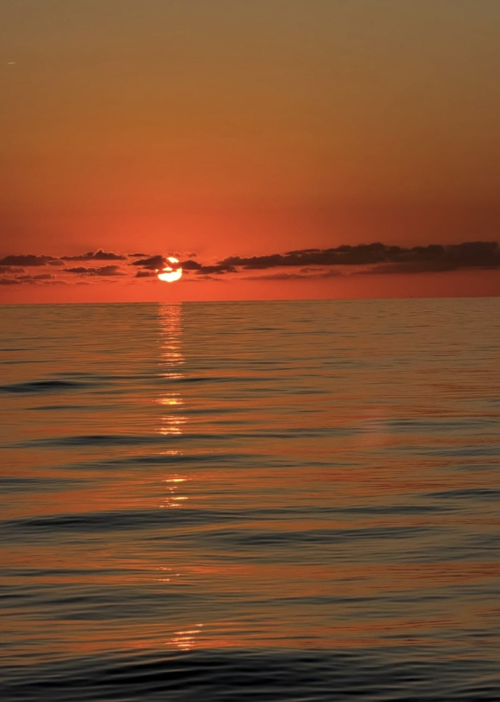 本-西蒙斯晒照展现自由球员生活 职业生涯转折点