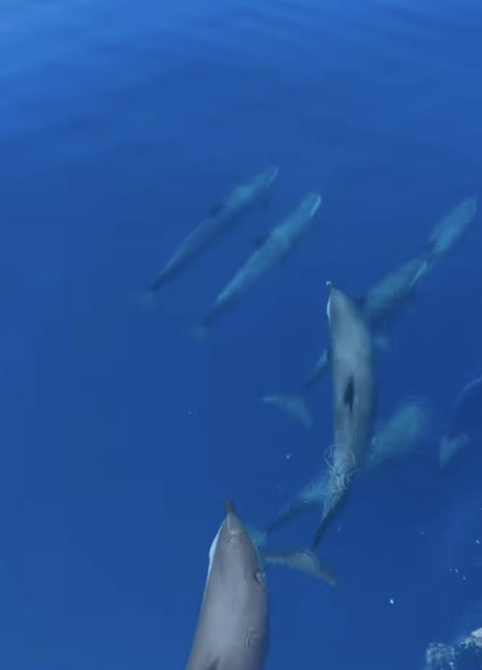 本-西蒙斯晒照展现自由球员生活 职业生涯转折点